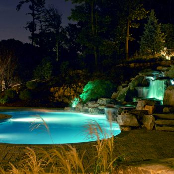 Freeform Pool With Night Feature
