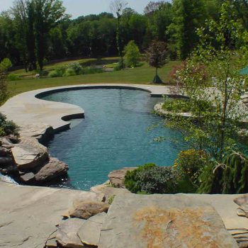 Freeform Swimming Pool Design