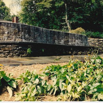 Levine Infinity Pool