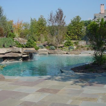 Landscape Garden With Freeform Pool